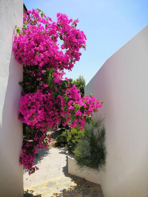 Casa Jardin. Vivienda Rural En Zona Tranquila. Lucainena de las Torres Exterior foto