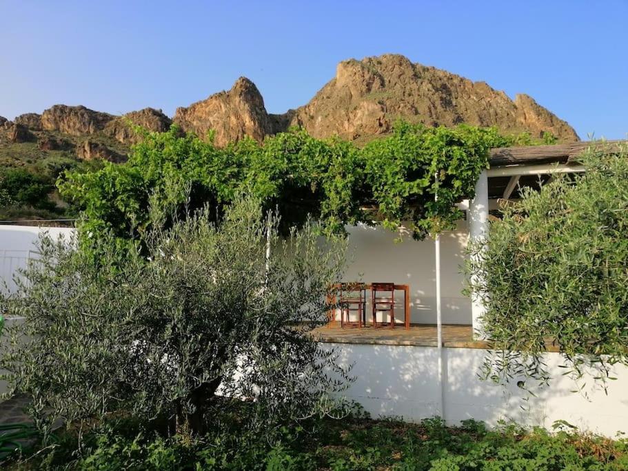 Casa Jardin. Vivienda Rural En Zona Tranquila. Lucainena de las Torres Exterior foto