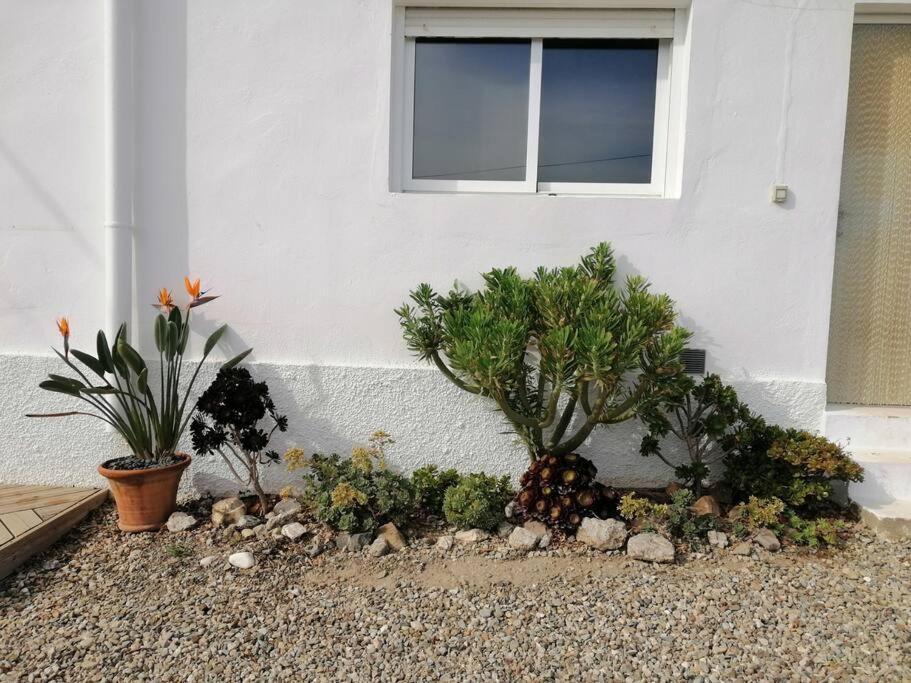 Casa Jardin. Vivienda Rural En Zona Tranquila. Lucainena de las Torres Exterior foto